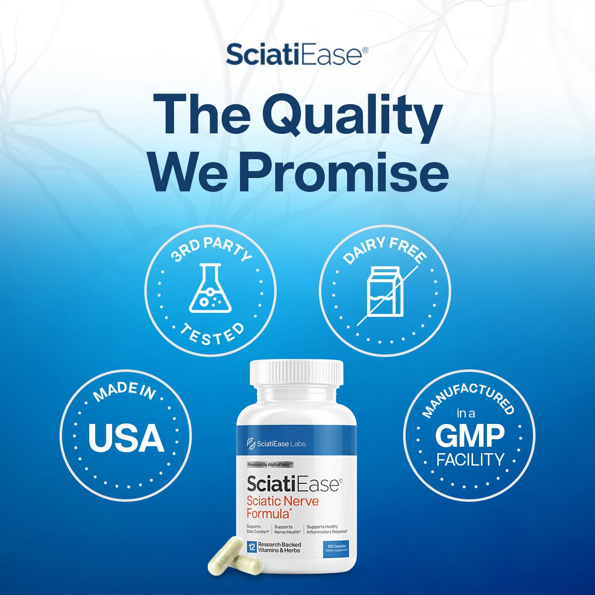 Sciatic Nerve Support Supplement – Nerve Health Formula With Vitamins & Herbs For Nerve Comfort & Wellness Support, 120 Capsules