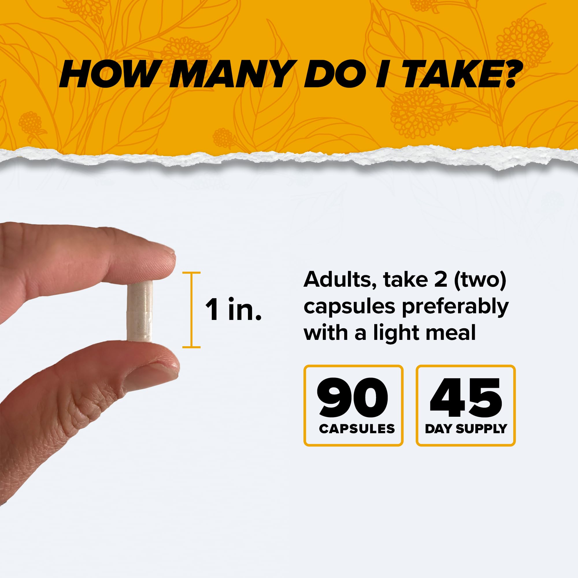 ONNIT Alpha Brain Nootropic Brain Supplement, 90 Count – Focus, Memory, and Mental Clarity Capsules with L-Theanine and Vitamin B6